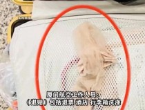 男子坐飞机行李箱莫名多出1双女性丝袜：还是穿过的行李箱多出丝袜获赔